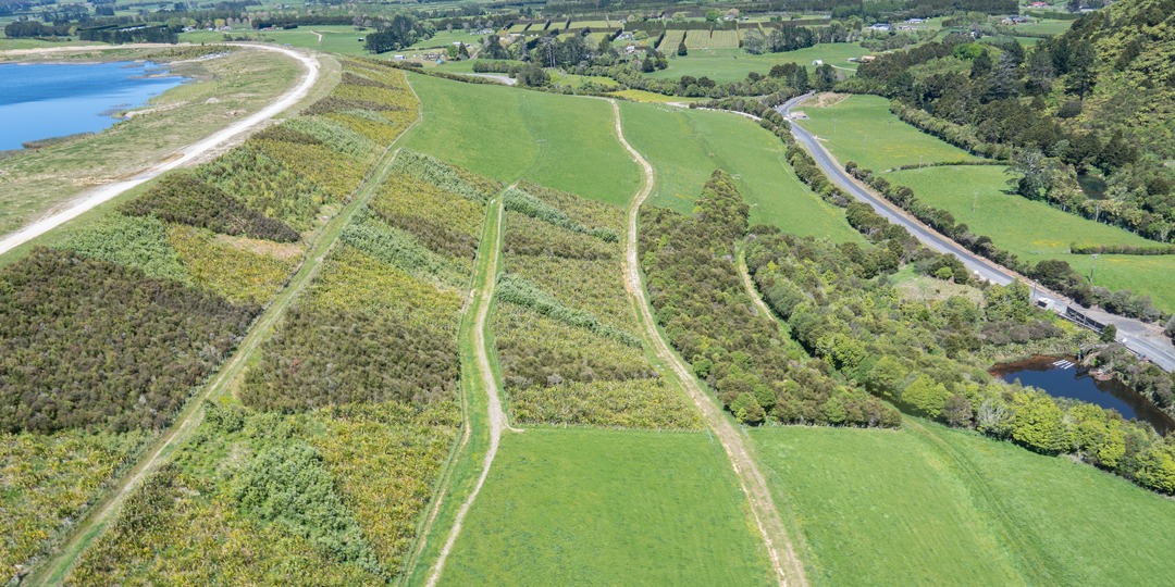 Rehabilitation services